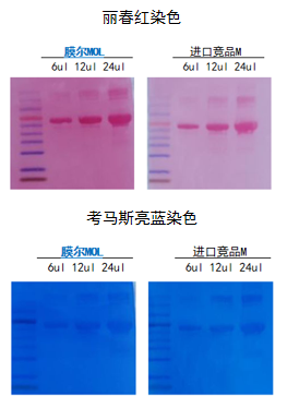 ag尊龙z6mg产品推荐：膜尔新材0.45μmPVDF膜—实验数据